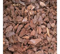 Corteccia di Pino 3 Lt per Pacciamatura Terreno Giardino Aiuole Rinvaso Orchidee