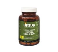 Corteccia Liscia Di Olmo 50 Capsule