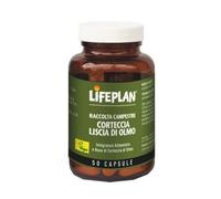 Corteccia Liscia Di Olmo 50 Capsule
