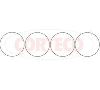 CORTECO 020853H Guarnizione Set, Cilindro Liner per Citroën, Dacia, Mega,