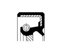 Corteco 19035229B Paraolio, Cambio automatico; Anello tenuta, Differenziale