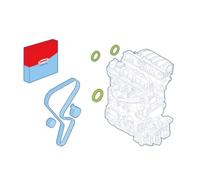 CORTECO 289008 Kit paraolio, Motore