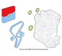 CORTECO 289014 Kit paraolio, Motore