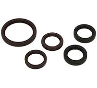 CORTECO 289068 Kit paraolio, Motore