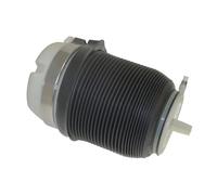 CORTECO 49430533 Molla pneumatica, Autotelaio STS_AIR VAG