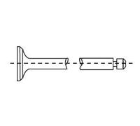 Valvola di scarico lato scarico Bimetallo/-ico 551244B CORTECO per VOLVO RENAULT