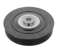 CORTECO 80000205 Puleggia cinghia, Albero a gomiti per DACIA,RENAULT