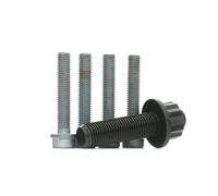 Corteco 80001253 Kit Bulloni Puleggia-Albero a Gomito
