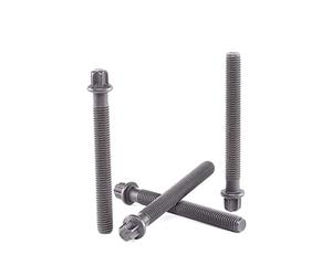 Corteco 80004865 Cinghia di Distribuzione