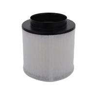 Corteco Filtro aria 80005027 Cartuccia per Audi A8 D4
