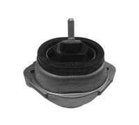 CORTECO Cuscinetti Del Motore Trasmissione Sinistra Destra Adatto per BMW X5 E53