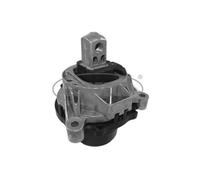 CORTECO Destra Cuscinetti Motore per BMW 3er Touring F31 330d Xdrive 335d 3 Gran