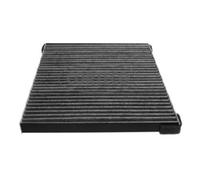 CORTECO Filtro Abitacolo Filtro Carboni Attivi per Suzuki Kizashi Fr 80001790