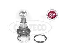 CORTECO Giunto Sferico Braccio Strutturale Frontale Lati per Honda Jazz II