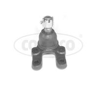 CORTECO Giunto Sferico Inferiore Doppio Compatibile Per Nissan Terrano II
