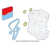 CORTECO Kit paraolio, Motore lato puleggia 289117