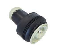 CORTECO 49468128 Molla pneumatica, Autotelaio STS_AIR BMW