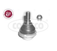 CORTECO Snodo a Sfera Anteriore Destra per Peugeot 407 Sw 508 Citroën C5 III