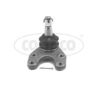 CORTECO Snodo a Sfera Anteriore Entrambi i Lati Inferiore Adatto per Ford Ranger