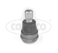 CORTECO Testina braccio oscillante per FORD Fiesta Mk6 Hatchback (JA8, JR8)