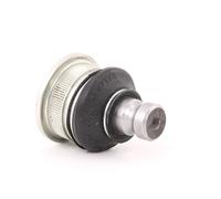 CORTECO Testina braccio oscillante per RENAULT Clio III Hatchback (BR0/1, CR0/1)