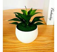 Cortili Succulente Artificiali Piante Finte Famiglie Decorazione Floreale Giardi