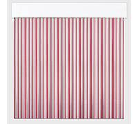 Cortine Esterne in Nastro per Porte | Plastica PVC e Barra in Alluminio, Dimensioni | PERTONI TENDE (Rosso e Trasparente, Larghezza 100 cm x 210 cm Lunghezza)