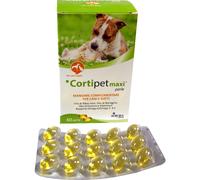 Aurora Biofarma Cortipet Perle cane e gatto 60 Perle - Integratori per cani - 1° ORDINE? scegli lo sconto BZR5 / BZR20 + 200 punti fedeltà