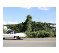 Cory Branan When I Go I Ghost (Vinyl LP) 12" Album