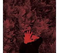 Cory Hanson The Unborn Capitalist from Limbo (Vinyl LP) 12" Album