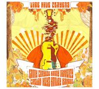 Coryell/Mandel/Finne - Wide Hive Players Ii