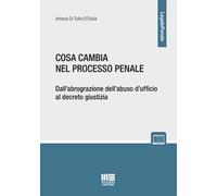 Cosa cambia nel processo penale. Dall'abrograzione dell'abuso d'ufficio al decreto giustizia. Con espansione online