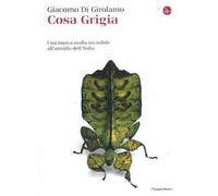 Cosa grigia. Una nuova mafia invisibile all'assalto dell'Italia