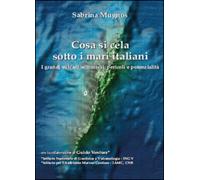 Cosa si cela sotto i mari italiani. I grandi vulcani sommersi: pericoli e potenz