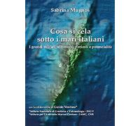 Cosa si cela sotto i mari italiani. I grandi vulcani sommersi: pericoli e potenzialità