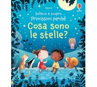Cosa sono le stelle? – Ediz. a colori