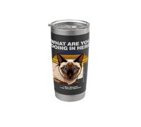 Cosa stai facendo qui Gatto Siamese Ansioso Bicchiere termico in acciaio inox doppia parete