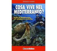 Cosa vive nel Mediterraneo? Guida all'identificazione per i subacquea e snorkeling