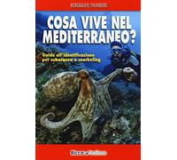 Cosa vive nel Mediterraneo? Guida all'identificazione per i subacquea e snorkeling