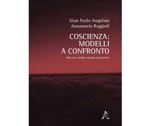 Coscienza: modelli a confronto. Una storia neuro-filosofica