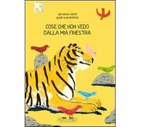 Cose che non vedo dalla mia finestra. Ediz. illustrata