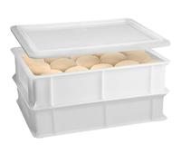 COSE DA CASA Set 2 Cassetta con Coperchio impasti palline Pizza Pane panette 30x40x13 per alimenti certificata certificata per alimenti litri 12 professionale impilabile sovrapponibile