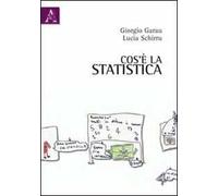 Cos'è la statistica