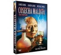 Cosecha Maldita DVD 1989 The Vineyard