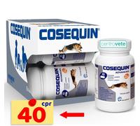 COSEQUIN ADVANCED CANE 40CPR