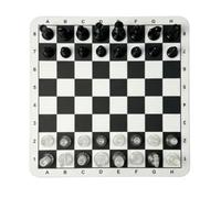 Cosiki Set di Scacchiere con Pezzi in Plastica Trasparente, Gioco Educativo Portatile per Famiglie e Bambini, Tavola da Viaggio da 24 Cm (#1)