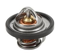 Cosiki Termostato ATV, Termostato per Auto -installazione Facile Metallico per Auto per Grizzly 660 YFM660 YFM66F