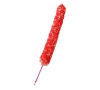 COSMEVIVI Spazzola Pulizia Interna Flauto in Nylon Rosso per Strumenti Musicali Presa Antiscivolo e Setole Morbide