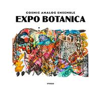 cosmic analog ensemb - cosmic analog ensemble-expo botanica lp