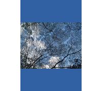 Cosmic Compass: A Beginner’s Guide to Astrology (Western, Chinese, Vedic, and Beyond)